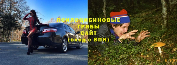 крисы Лабытнанги