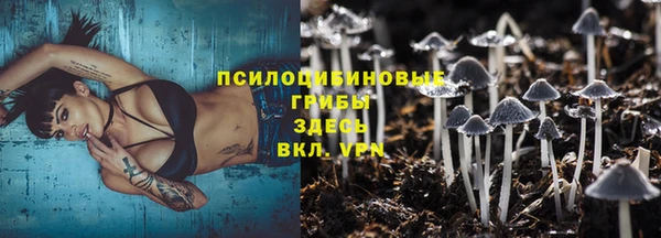винт Кедровый